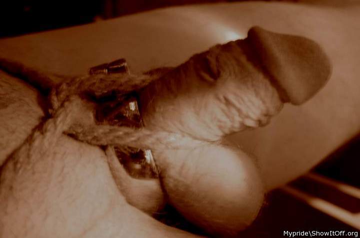 Photo of a pocket rocket from Mypride