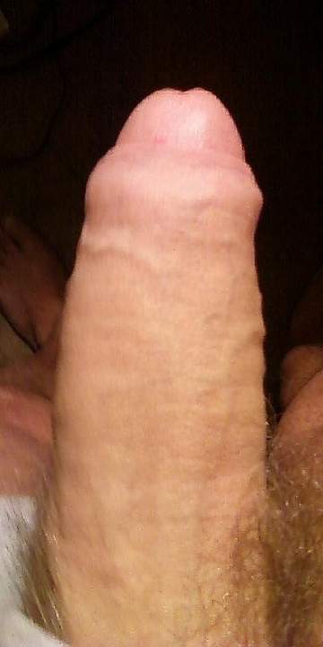 Photo of a python from CLinz49