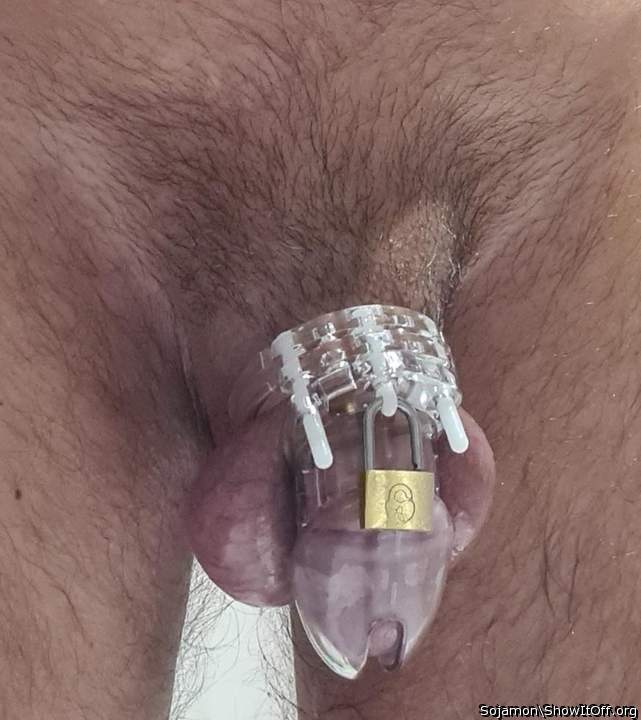 Another beautiful cage, have same one &#128077;&#127996;
