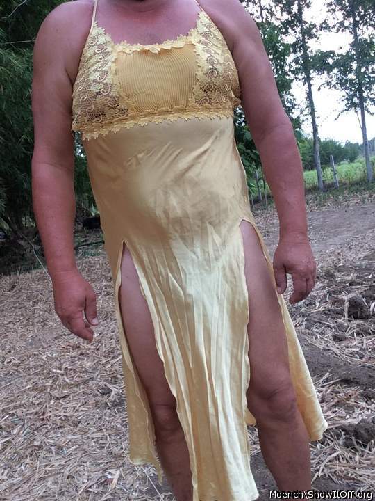 Adult image from Moench
