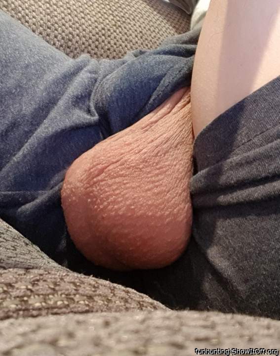 Testicles Photo from funhunting