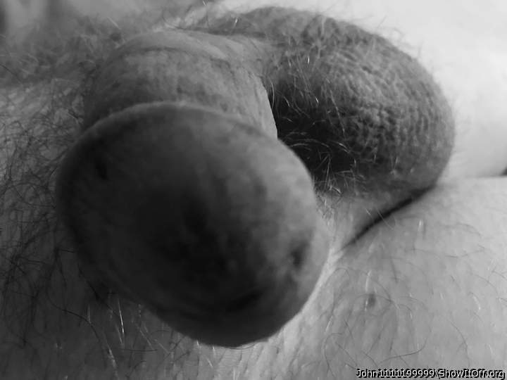 Photo of a ram rod from John1111199999