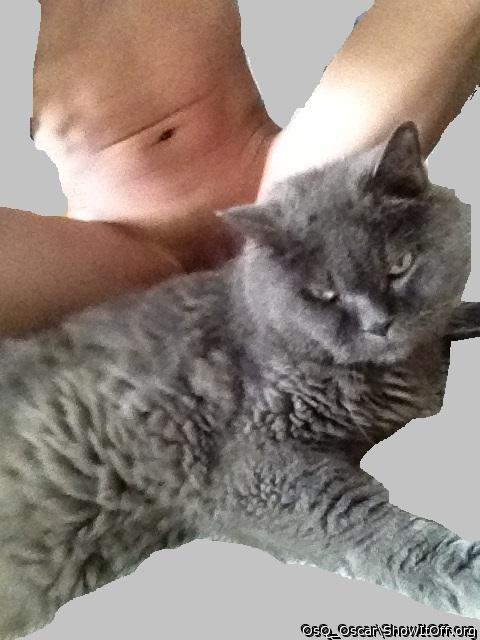 Photo of a one-eyed monster from OsQ_Oscar