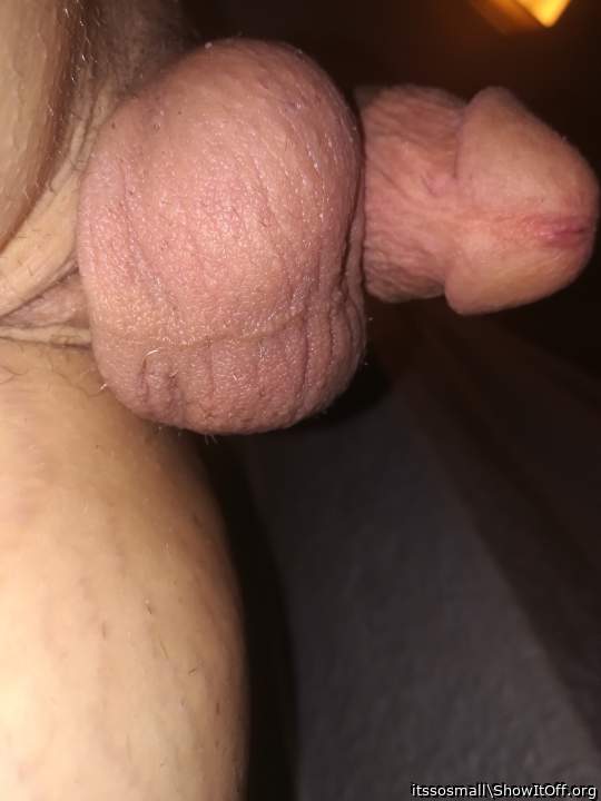 Photo of a cock from itssosmall