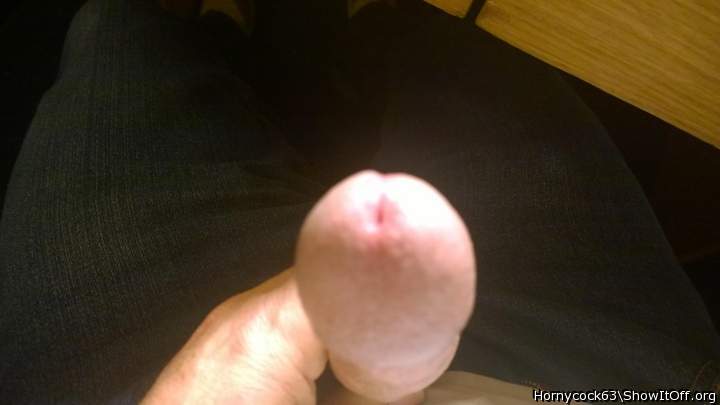 Photo of a weasel from Hornycock63