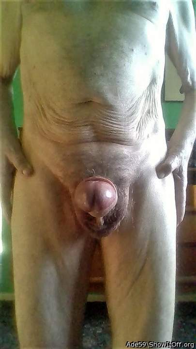 Photo of a bald-headed mouse from Ade59