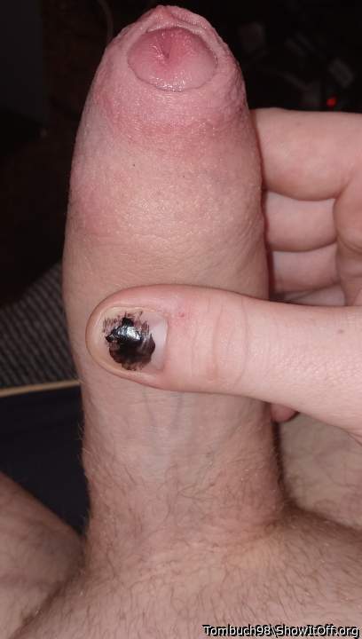 Photo of a lizard from Tombuch98