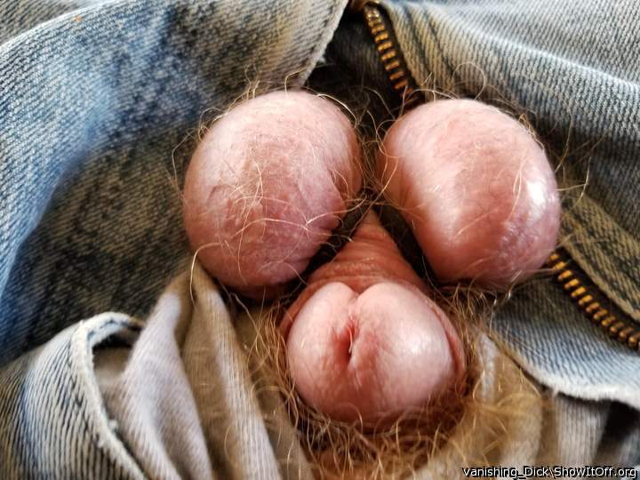 Testicles Photo from vanishing_Dick