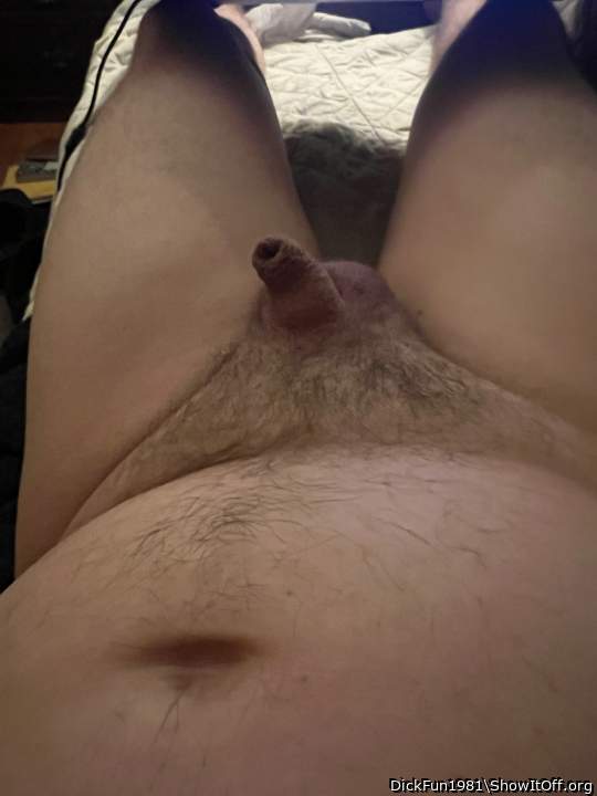 Photo of a cock from DickFun1981