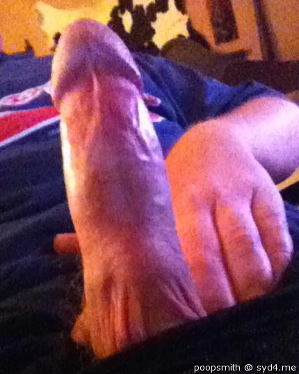 Photo of a ram rod from PoopSmith