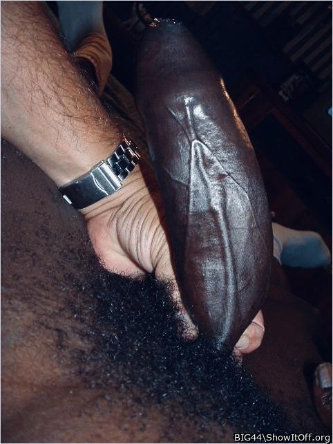 The anticipation of what's cumming is overwhelming.      