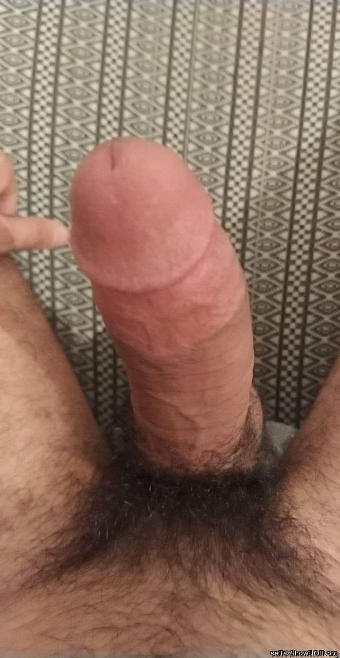 Photo of a wiener from seffs