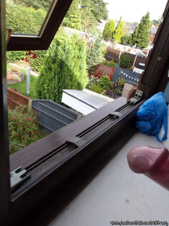 My Shiny Bell End Looking Out For The Neighbours