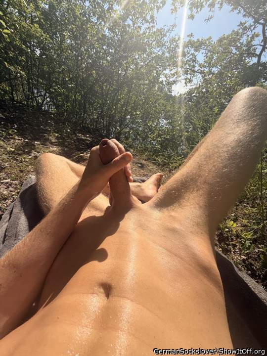 ☀️🌻☀️
