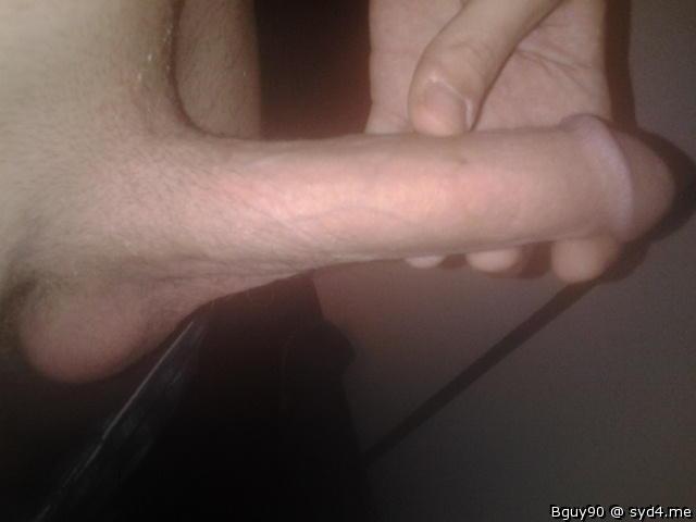 Photo of a lizard from Bguy90