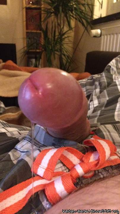 nice shiny head!  