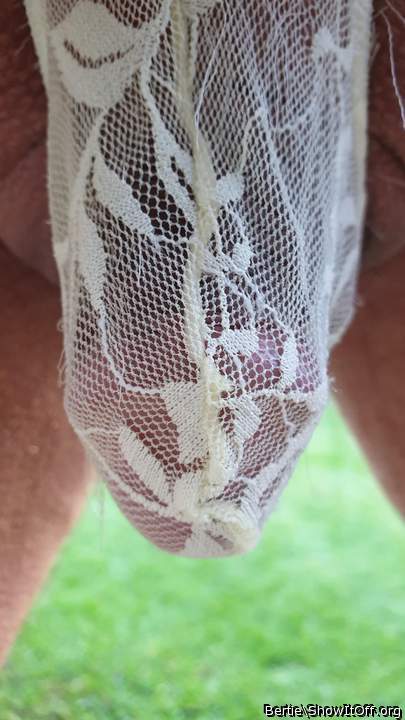 Photo of a snake from Bertie