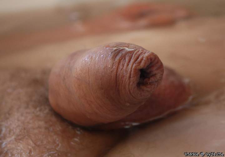   I got a thing for flaccid uncut cocks & yours is really tu
