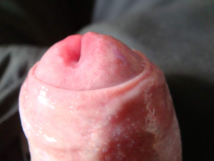 Photo of a rooster from sivad666