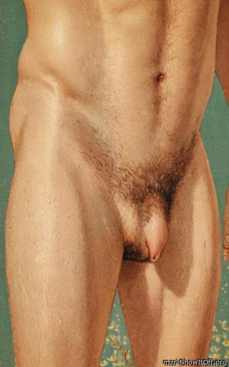 Uncut foreskin penis art
