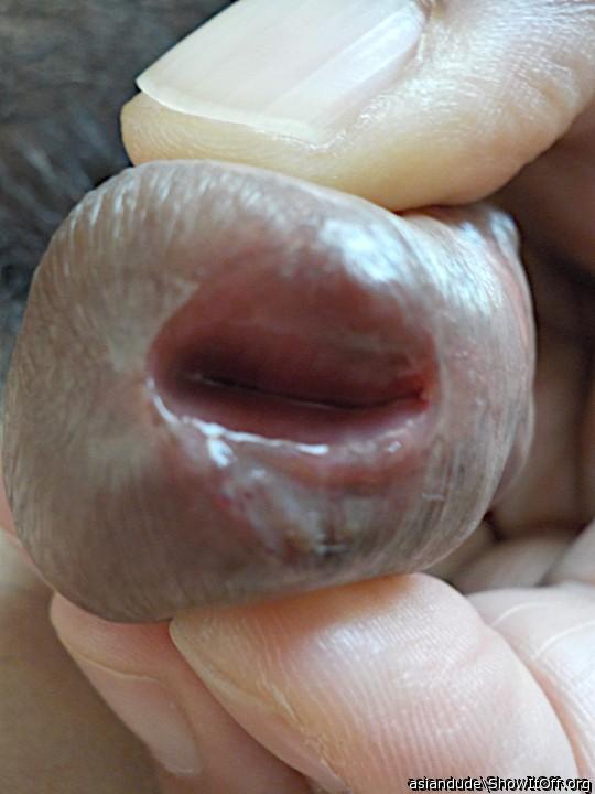 Flaccid stretch view, still wet with pee inside