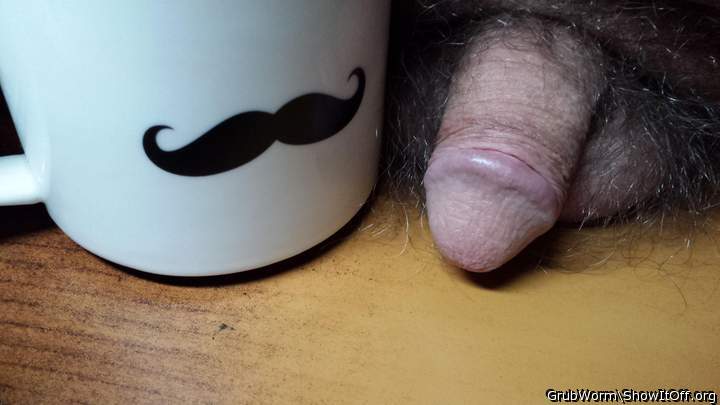 stash cup