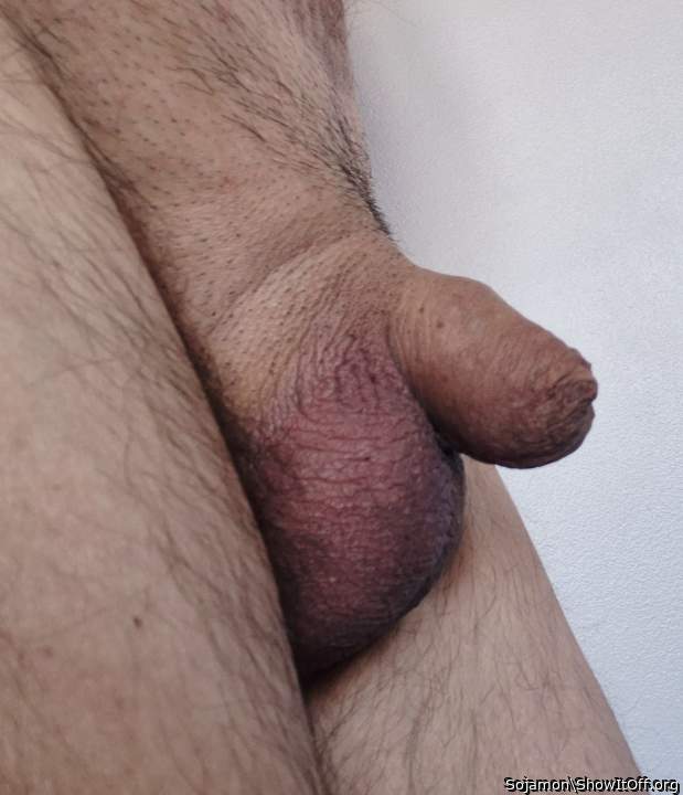 Photo of a python from Sojamon