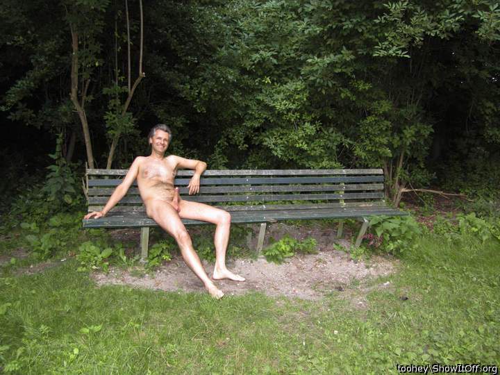 happy afternoon in the park