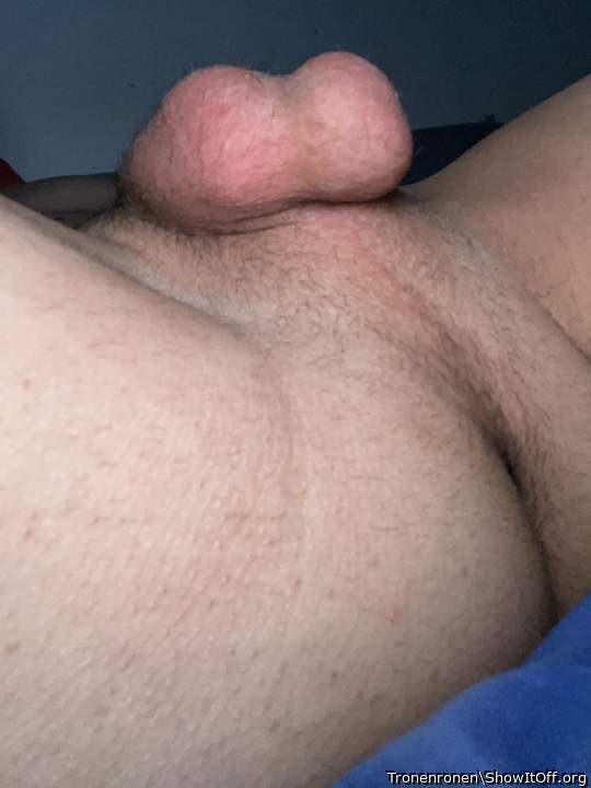 Testicles Photo from Tronenronen