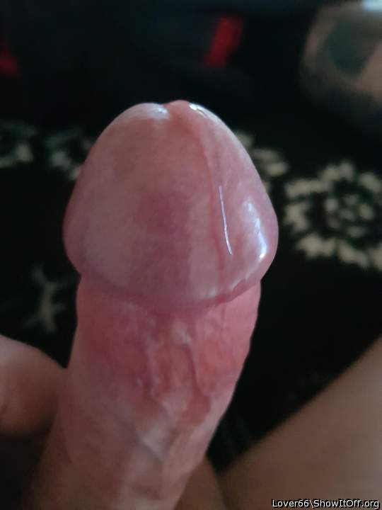 Dripping precum lick it