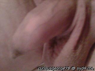 Photo of a rooster from curiousgeorge78