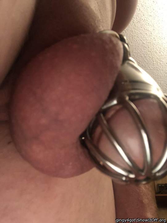Photo of a equipment from Gingy4got