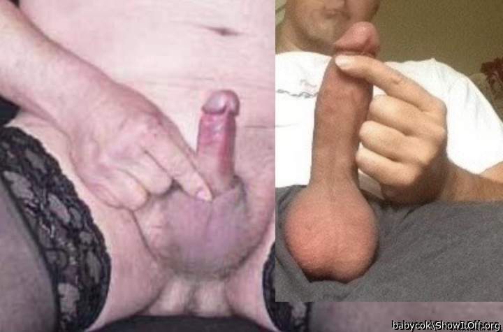 tribute from 5103388 comparing cocks