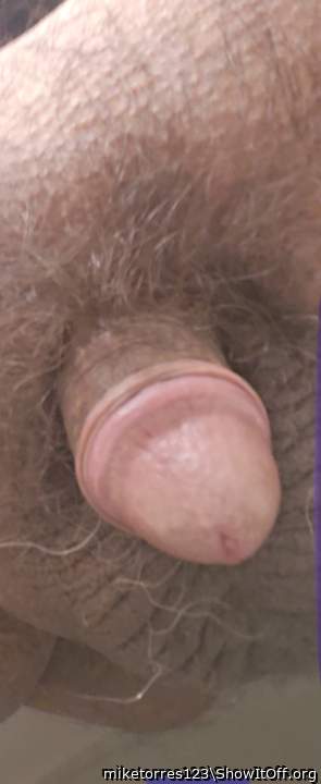 Photo of a phallus from miketorres123
