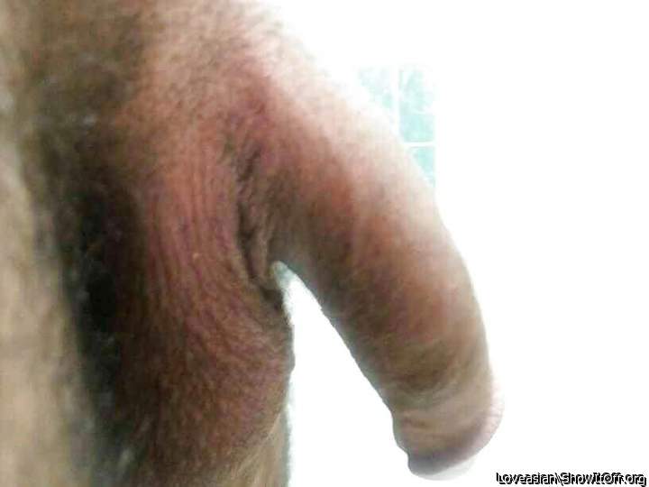 Photo of a bald-headed mouse from Loveasian