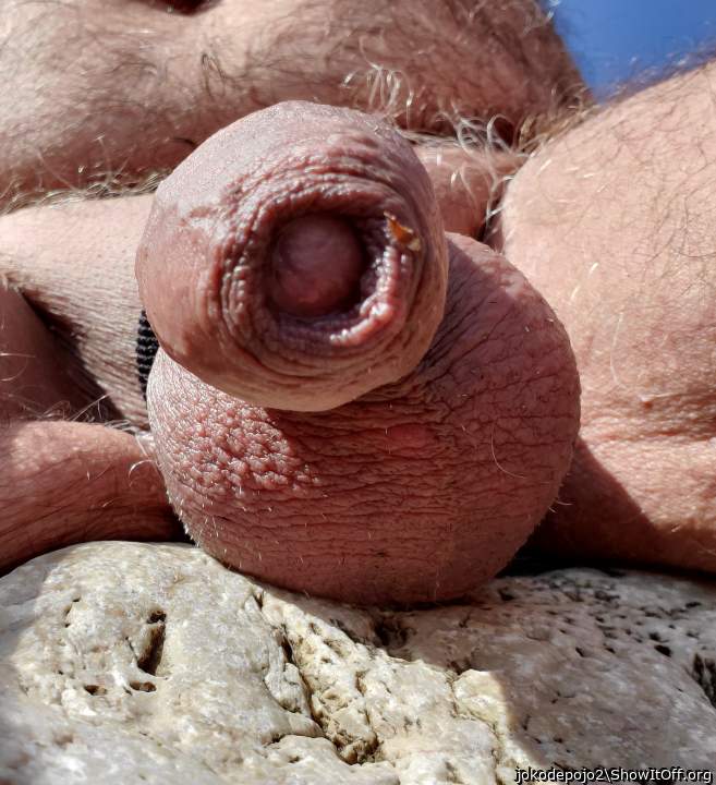 Very beautiful cock !