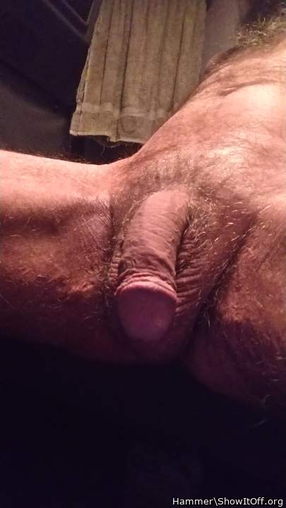 Photo of a penis from Hammer
