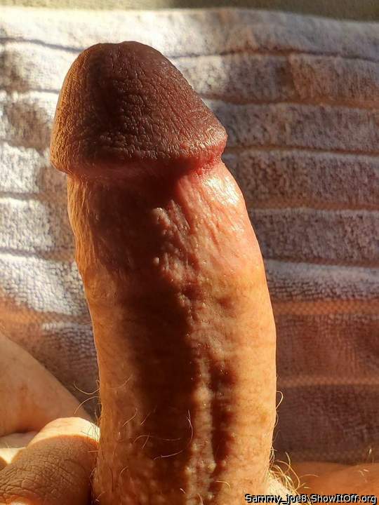 Photo of a short leg from Sammy_joe8