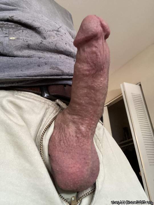 sensational I like you dick