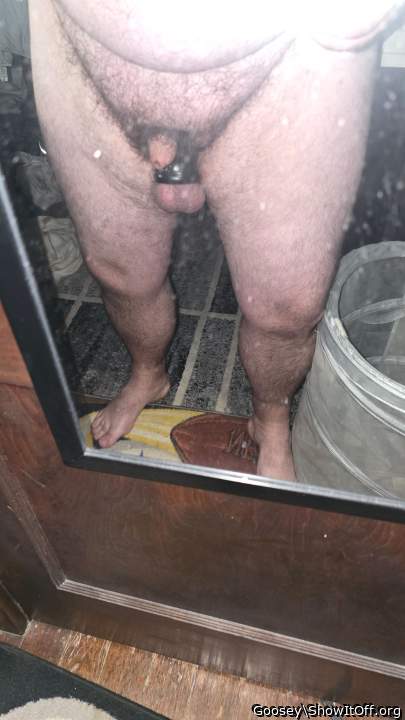 Testicles Photo from Goosey