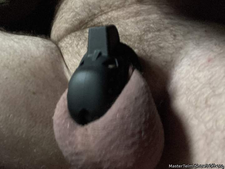 Photo of a member from MasterTelm