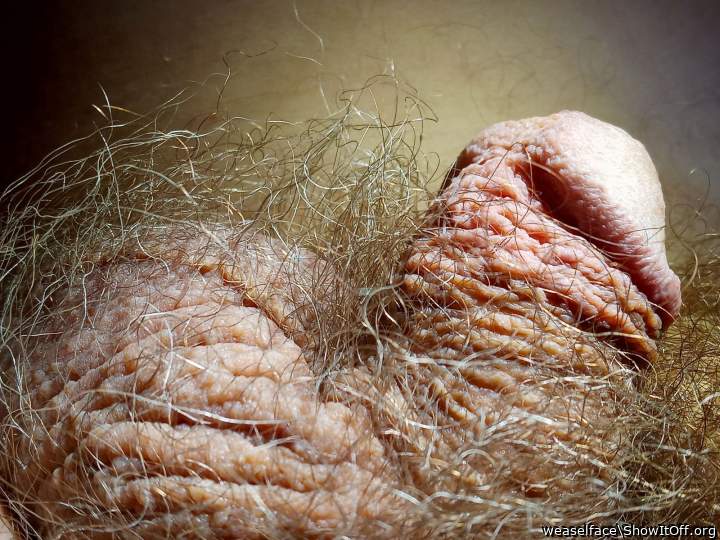 Photo of a wiener from weaselface