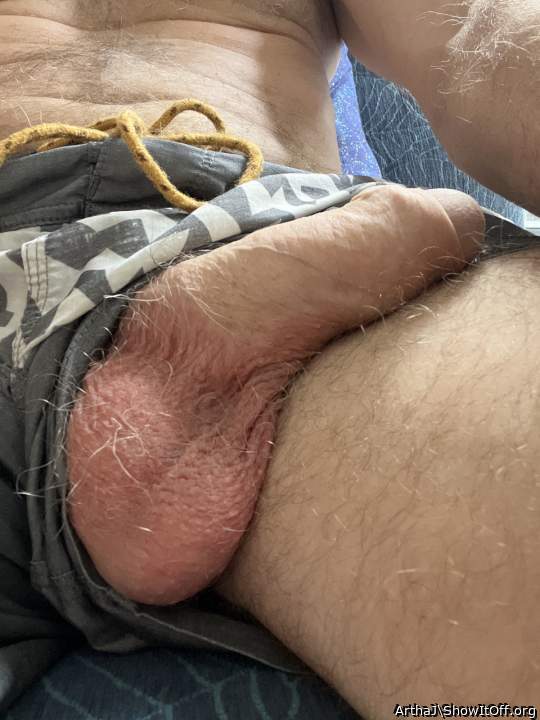 Photo of a lizard from ArthaJ