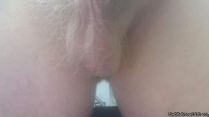 Photo of a boner from 15x55