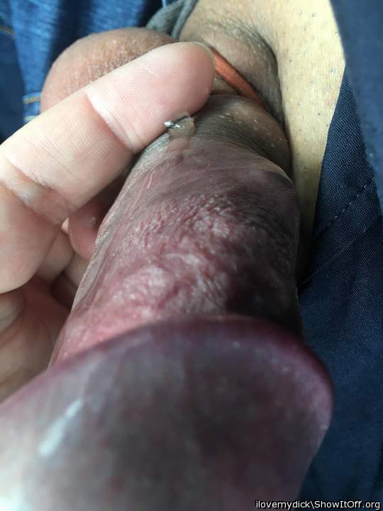 Photo of a python from ilovemydick