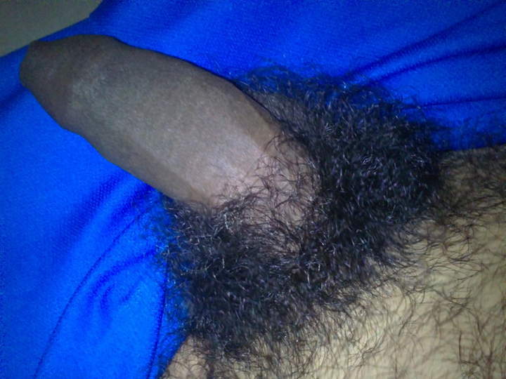 Nice thick Bush    