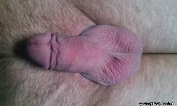 Photo of a prick from yardog319