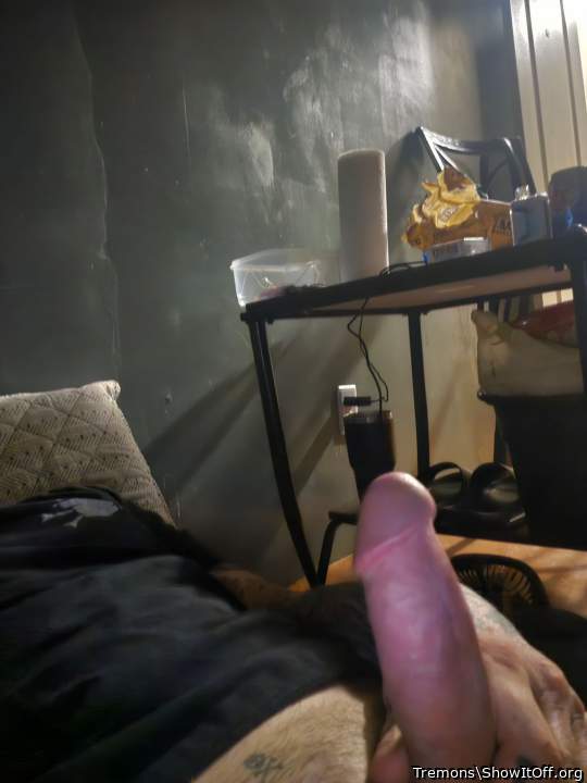 Photo of a wiener from Tremons