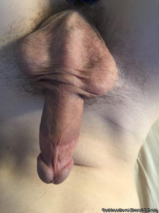 Photo of a cavalier from Cockheadlove