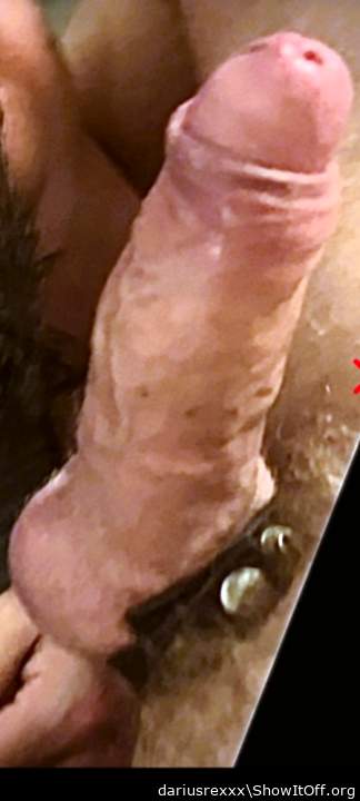 Photo of a cock from dariusrexxx